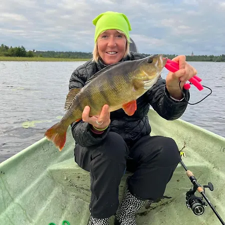 Wilhelmiina,laatulomat 别墅